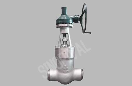 Pressure Seal Globe Valve