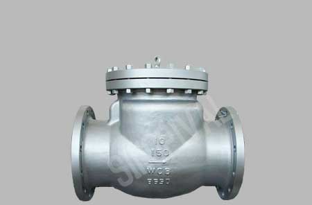 Bolted Bonnet Check Valve