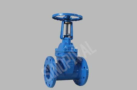 Cast Iron Rising Stem Gate Valve