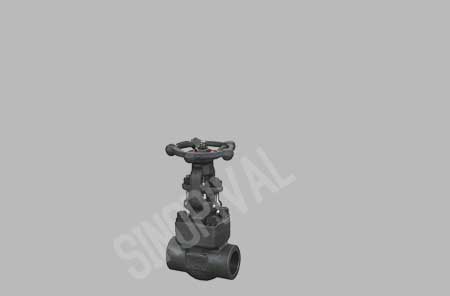 Forged Steel Gate Valve